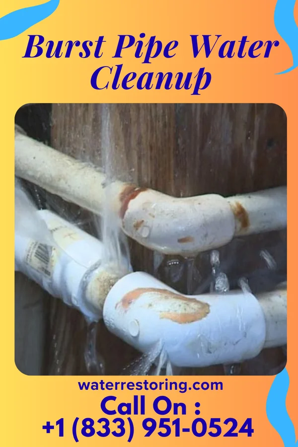 Burst Pipe Water Cleanup in Toone, TN