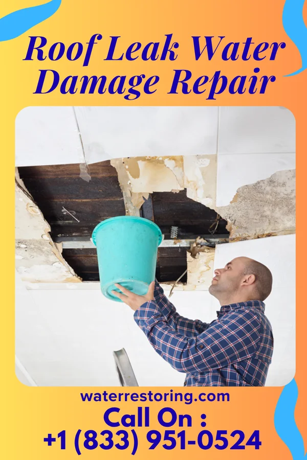 Roof Leak Water Damage Repair in Toone, TN