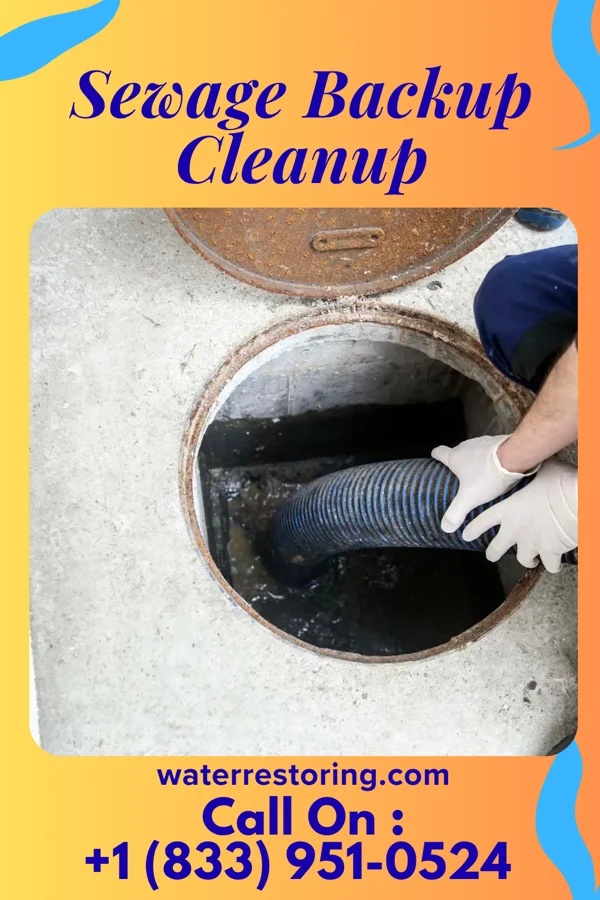 Sewage Backup Cleanup in Toone, TN
